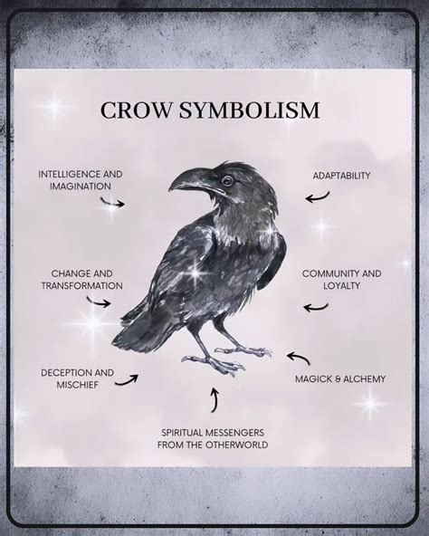 Best 13 Hidden Meanings of Crows in Number (1 to 9) & Symbolism – Artofit