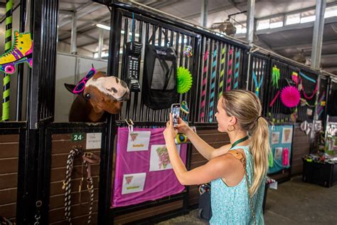 Image result for Tryon Palace July 4th