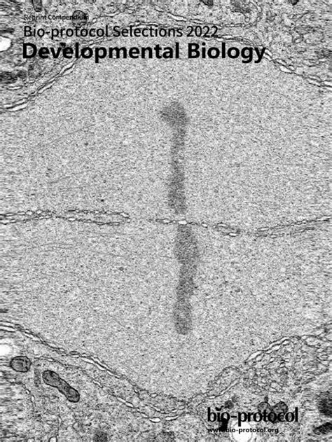 Biotech Just Received Pattern 的图像结果