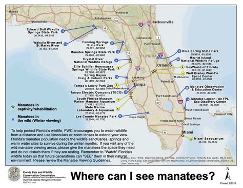 A Guide to Manatee Habitats | River Ventures — River Ventures