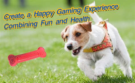 Buy RvPaws Non-Toxic Rubber Dog Chew Toy Puppy/Dog Teething Toy Medium ...