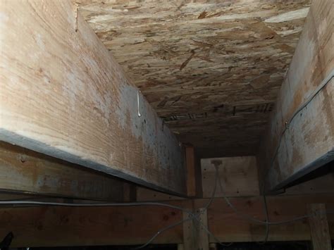 How To Clean Mold From Wood Floor Joists | Floor Roma