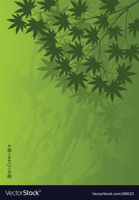 Image result for Maple Vector Plot