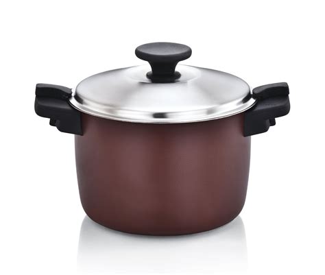 Stainless Steel Hot and Cold Casserole - Brown – Atlasware India