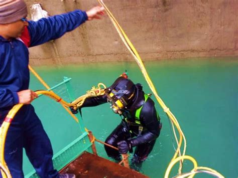 Specialized Services