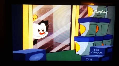 Image result for Animaniacs Intro Multilanguage