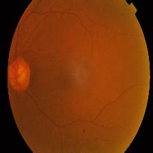 Image result for Check the Classification