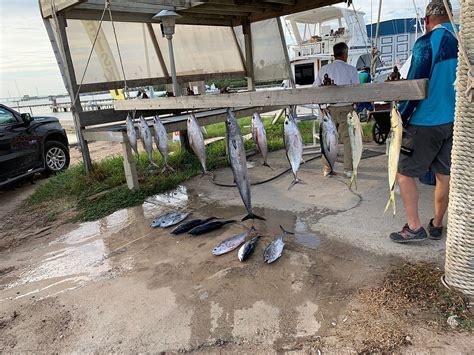 SALT WALKER FISHING CHARTERS - All You Need to Know BEFORE You Go 2026 ...