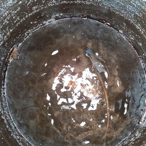 Gallery - Clean Sense Water Tank Cleaning Services