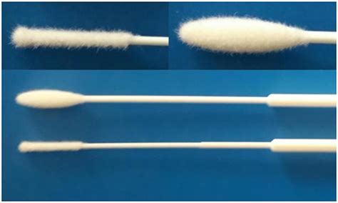 SCTIMST develops nasal, oral swabs for COVID 19 testing