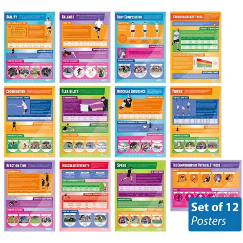 Buy Components of Physical Fitness s - Set of 12 | PE s | Gloss Paper ...