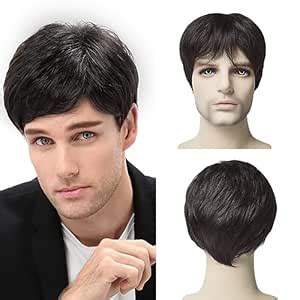 BLUSHIA Mens Black Wig Short Straight Black Wig Layered Male Wig Heat ...