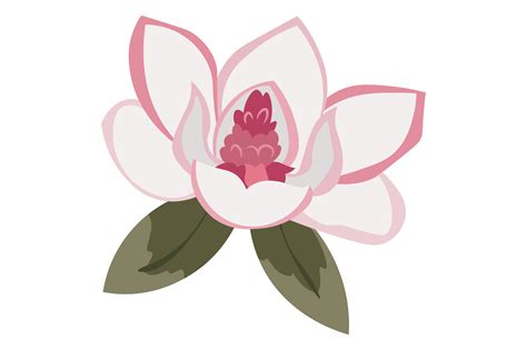 Louisiana State Flower - Magnolia SVG Cut file by Creative Fabrica ...