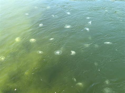 Marine Emporium Landing (Oxnard) - 2021 What to Know Before You Go ...