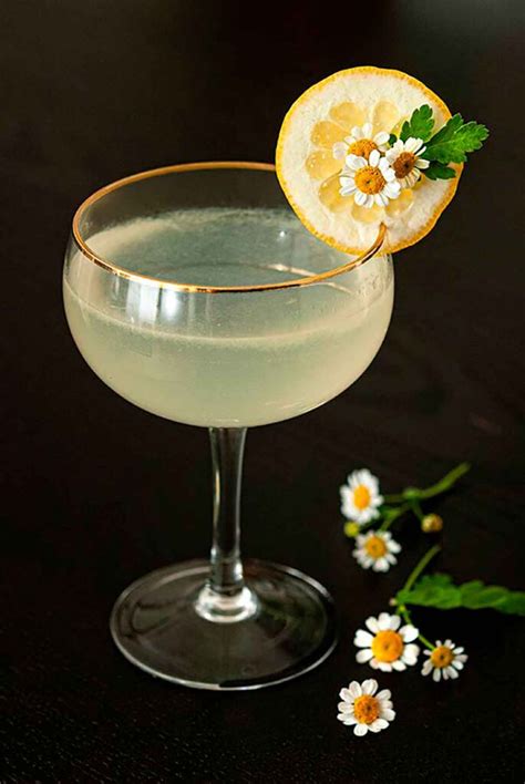 Image result for Lemon Drop Cocktail