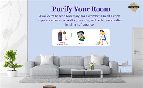 Exotic Aromas Rosemary Essential Oil for Hair Growth, for Hair Fall ...