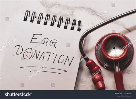 Donor Egg Fertilization