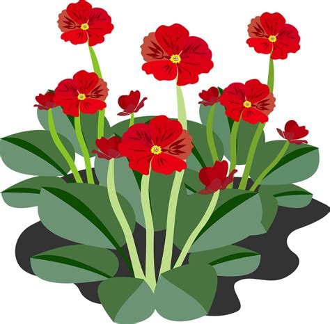 50,000+ Free Flower Clipart & Clipart Images - Pixabay