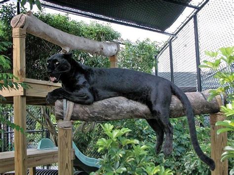 Loxahatchee Photos - Featured Images of Loxahatchee, FL - Tripadvisor