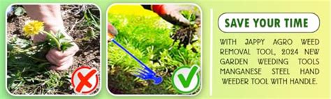 Jappy Agro Weed Remover Tool, Grass Cutter, Weeder, Used for Gardening ...