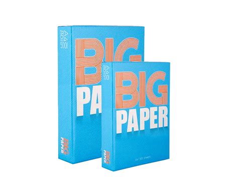 Image result for Paper Big