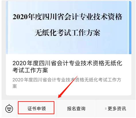 成都2020年新年快乐元旦主题绿雕雕塑造型假植物_成都鑫森蕴园林绿化工程有限公司_园林网