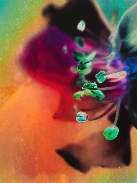 Chromatic Chronicles: 25 Winning Photos From The 35th AAP Magazine ...