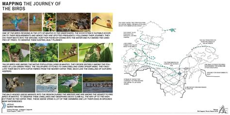 LANTANA PLUMAGE : A KEEPER'S LABYRINTH | CEPT - Portfolio