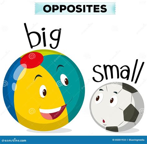 What Is The Opposite Of Big