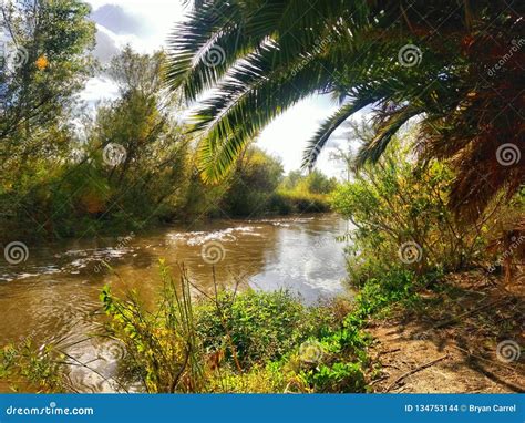 Santa Ana River Near the Anaheim Wetlands Stock Photo - Image of ...