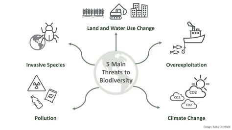 (Thematic report) Biodiversity - Ambassador report - Our Actions - Tunza Eco Generation - conservation of biodiversity pdf