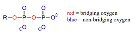 9.2: Overview of Phosphate Groups - Chemistry LibreTexts