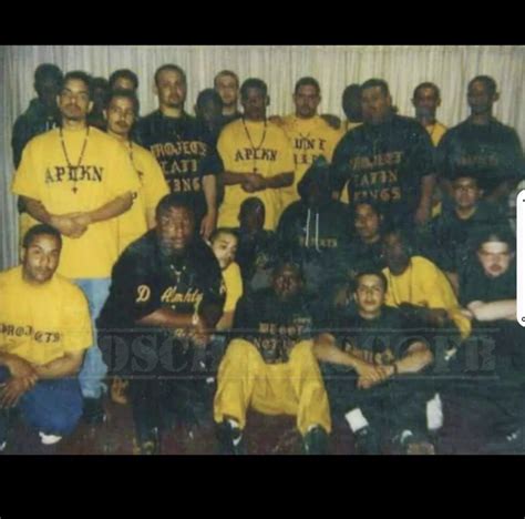 Project Latin Kings from the Julia C. Lathrop Homes project buildings ...