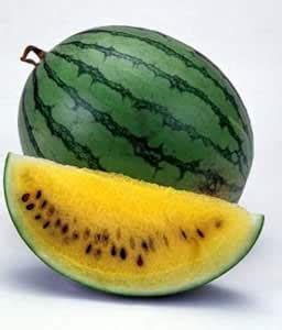 Royal Paradise Garden Rare Watermelon Fruit Seed"Yellow Crimson" Exotic ...