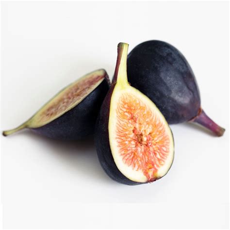 Black Mission Fig | The Sill