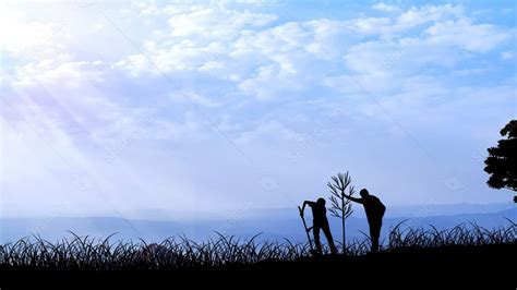 Image result for Tree-Planting Project Background Images