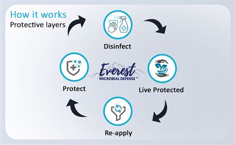 Farmanex Spray EV360 Antimicrobial Protectant Surface Coat Disinfectant ...