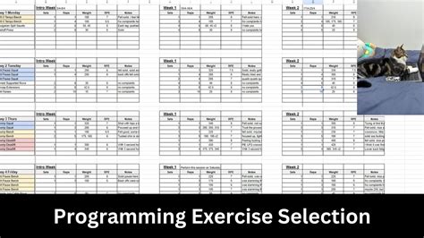 Image result for Powerlifting Programming
