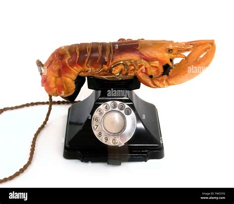 Lobster Telephone by Salvador Dali (1904-1989),1936 Stock Photo - Alamy
