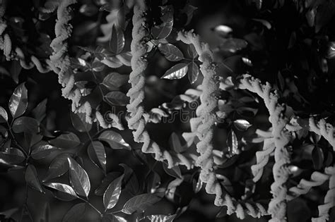 Image result for How to Find Genetic Code