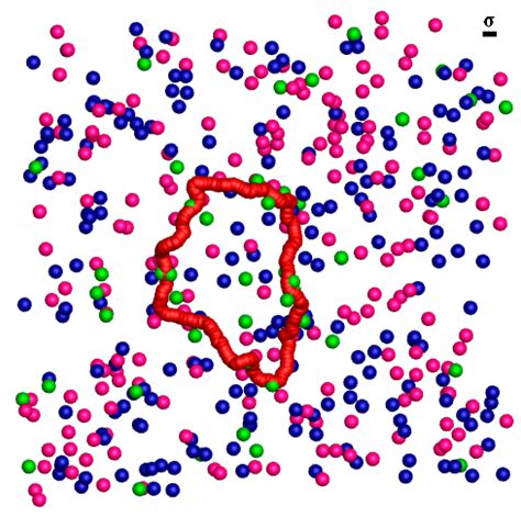 Conformational Transition of Semiflexible Ring Polyelectrolyte in ...
