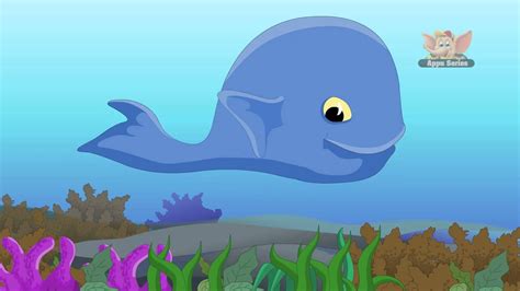 Animal Facts - Blue Whale | Blue whale, Animal facts, Animal theme