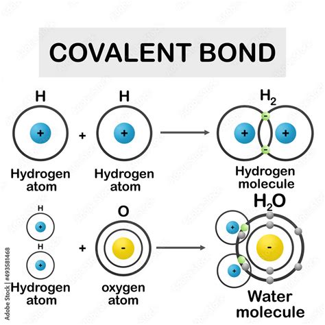 Image result for Pyramidal Covalent Bond