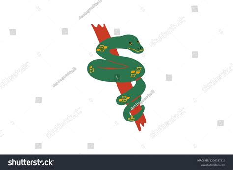 Image result for Python White Background