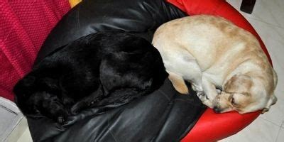 Samsung Mobile : Profile, Latest Updates, Articles, Biography – MensXP ...