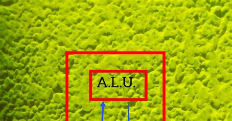 What are the basic components of a computer system?