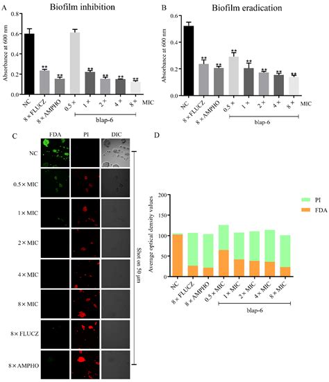 Blap-6, a Novel Antifungal Peptide from the Chinese Medicinal Beetle ...
