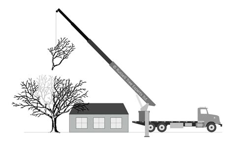 Image result for Tree Remval Tractor