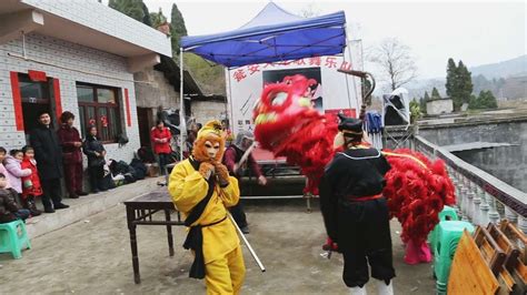 贵州遵义农村办酒席，这种舞狮表演看着真霸气 - YouTube