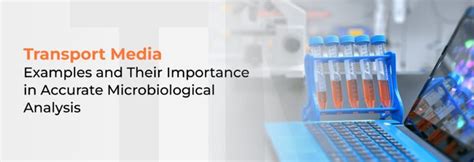 Peptone Water: The Soda for Microbes